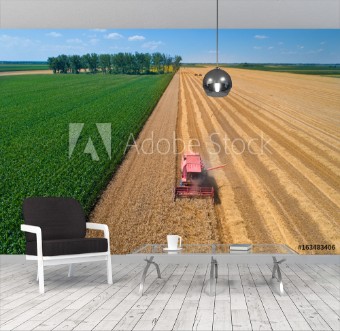 Picture of Combine harvester in wheat field